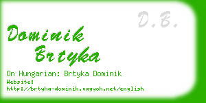 dominik brtyka business card